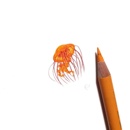 Jellyfish miniature #2242