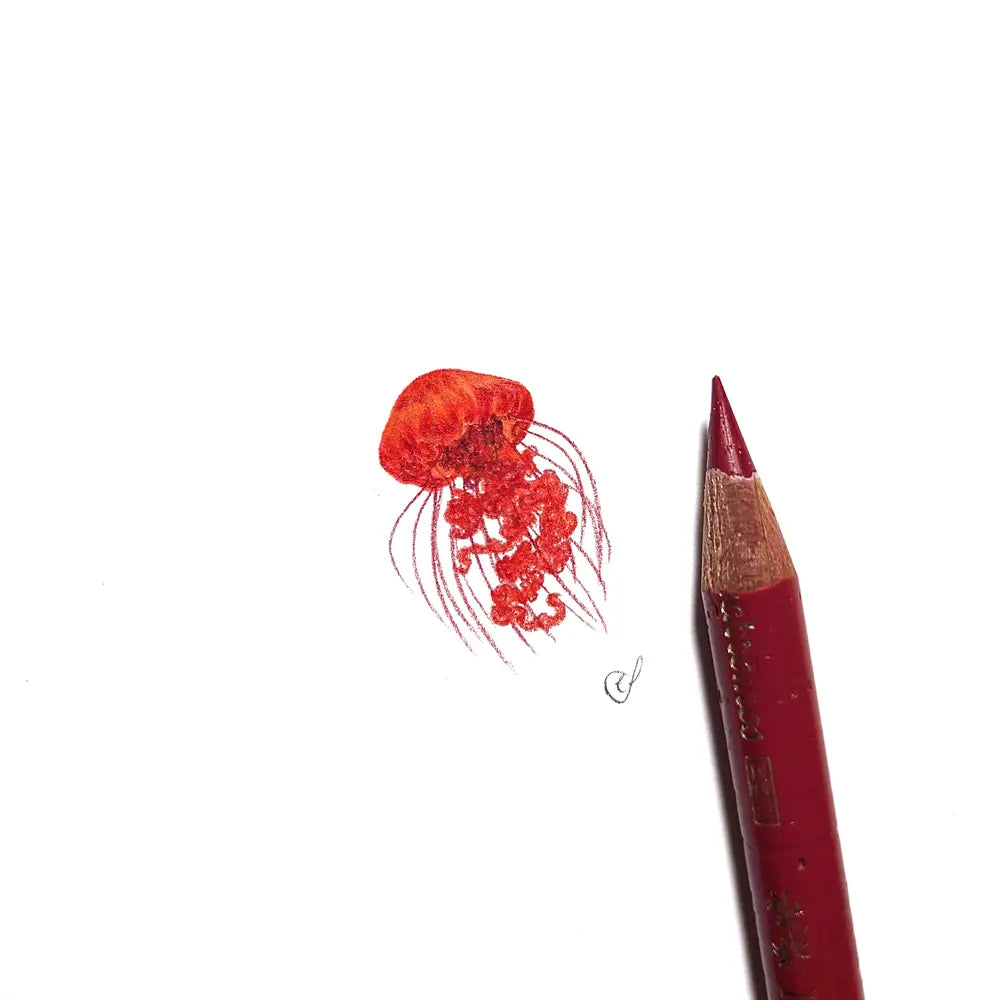 Jellyfish miniature #2248