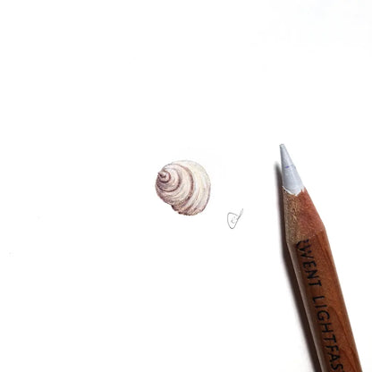 Seashell miniature #2250