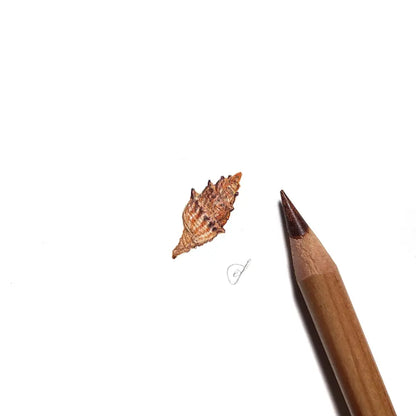 Seashell miniature #2251