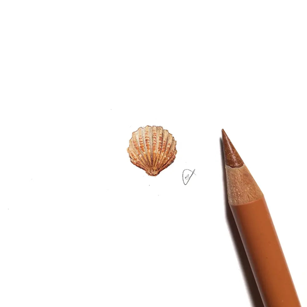 Seashell miniature #2252