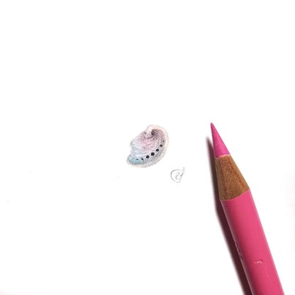 Seashell miniature #2254