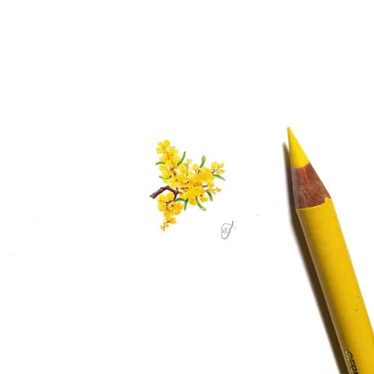 Wattle miniature #2256