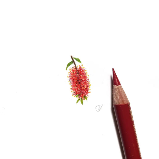 Bottlebrush miniature #2264