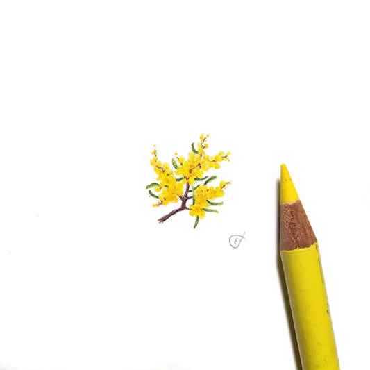 Wattle miniature #2267