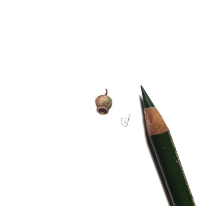 Gumnut miniature #2270