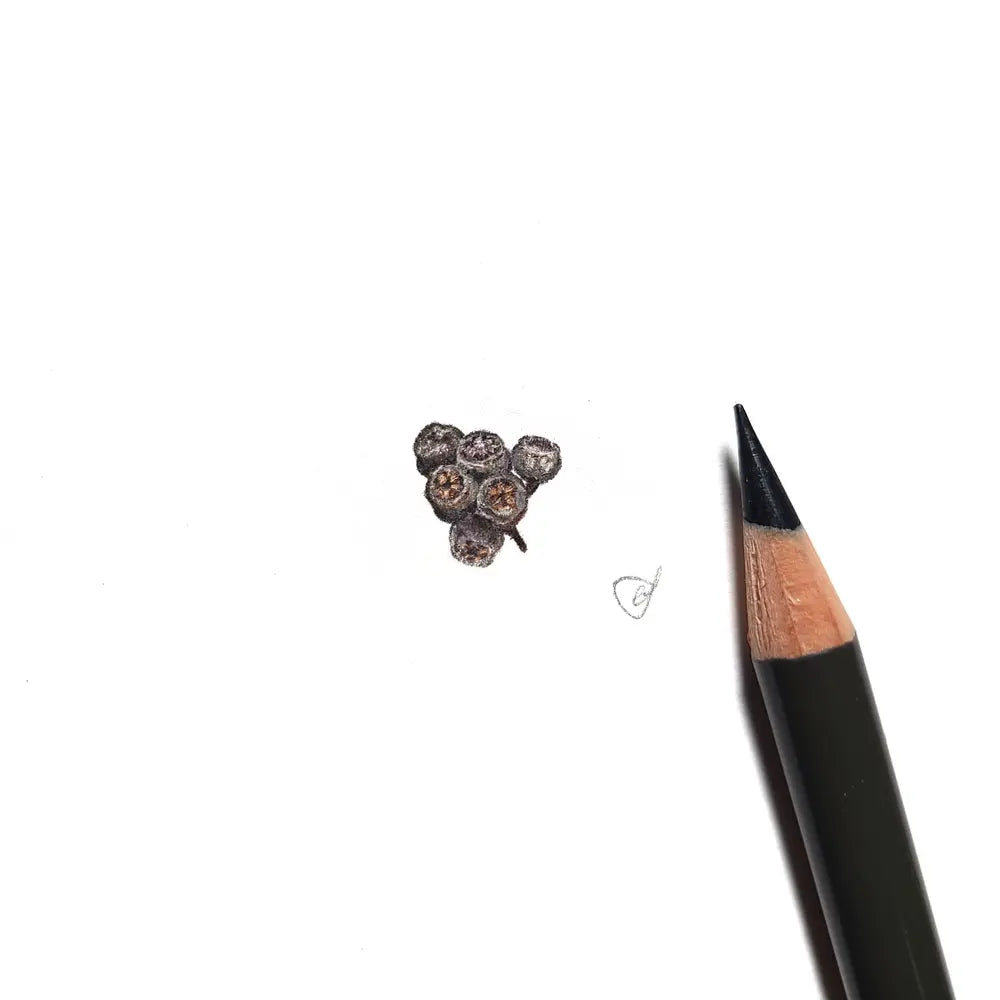 Gumnut miniature #2273