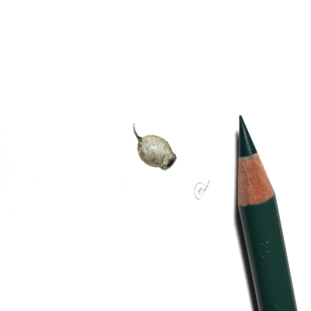 Gumnut miniature #2274