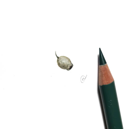 Gumnut miniature #2274