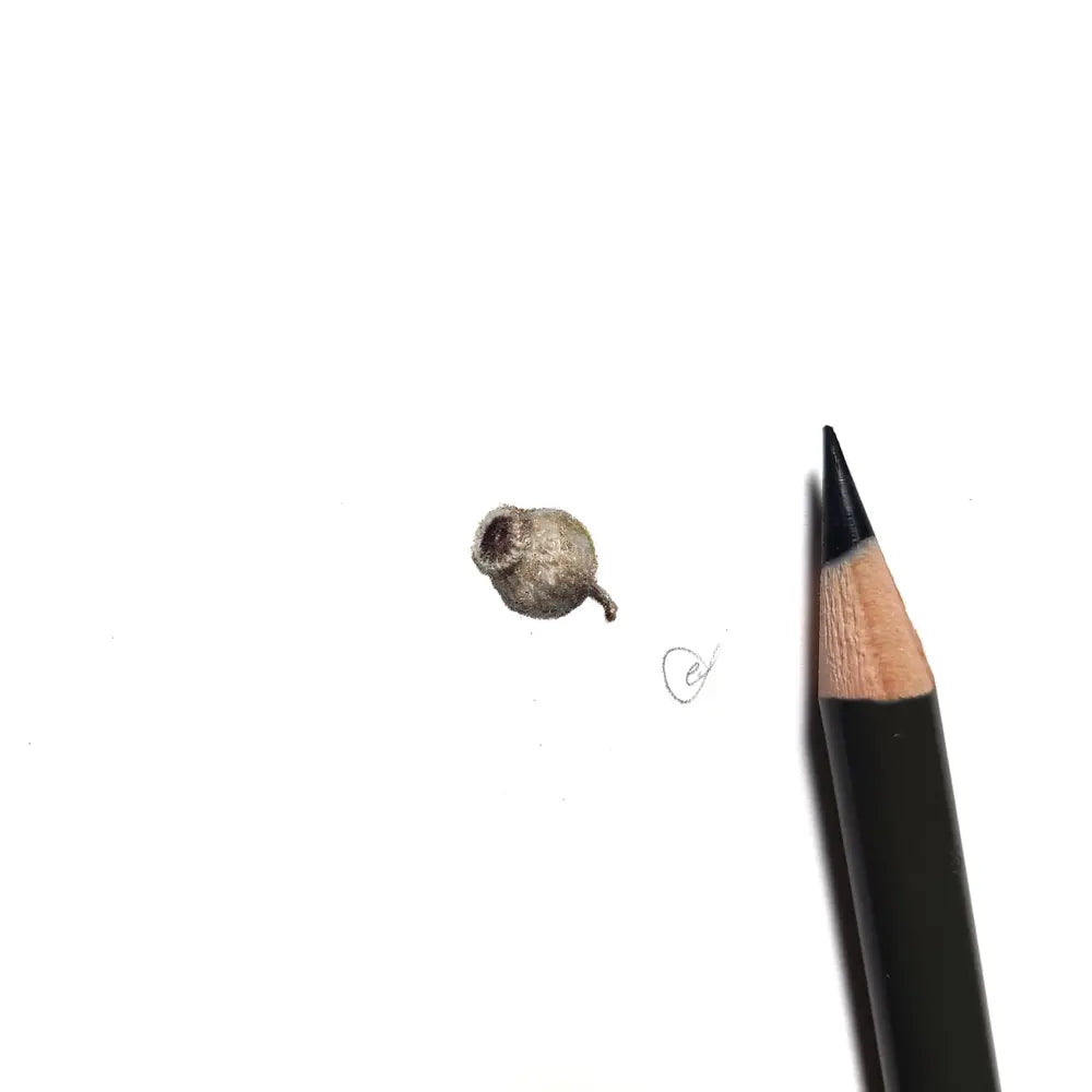 Gumnut miniature #2275