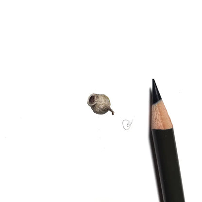 Gumnut miniature #2275