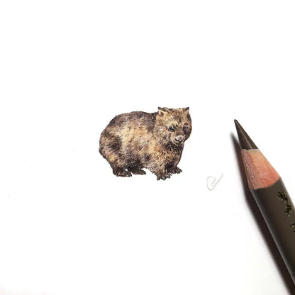 Common wombat miniature #2283