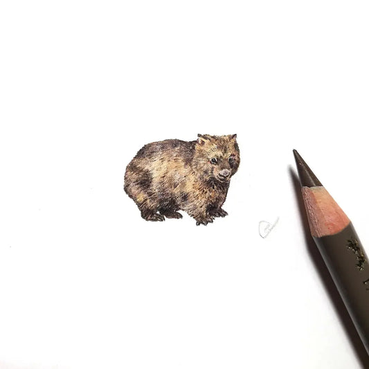 Common wombat miniature #2283
