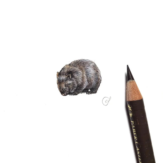 Common wombat miniature #2289