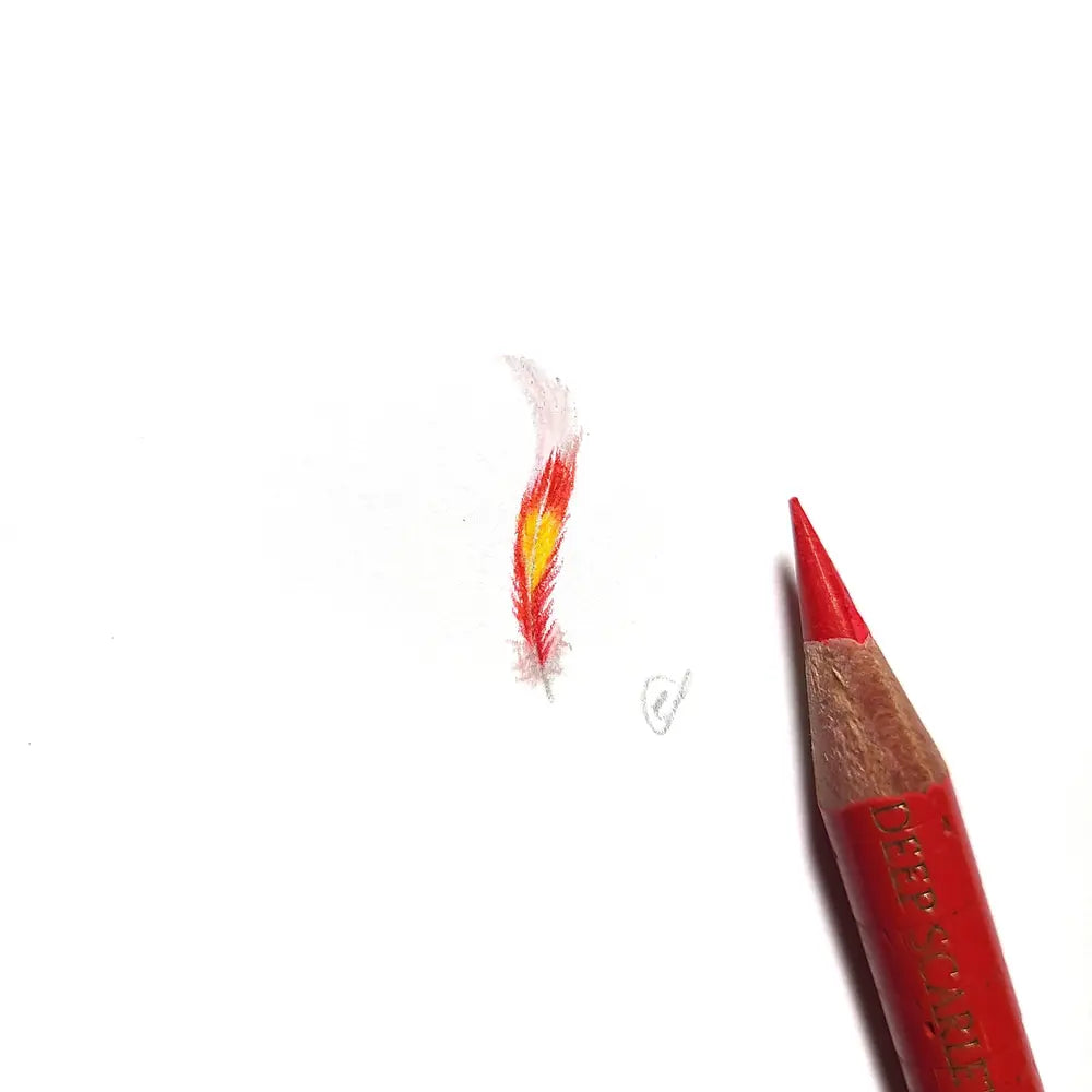 Major Mitchell's Cockatoo feather miniature #2293