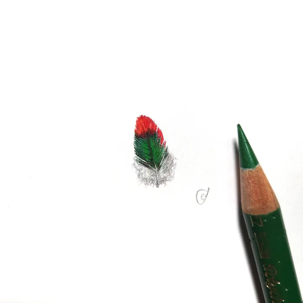 King Parrot feather miniature #2294