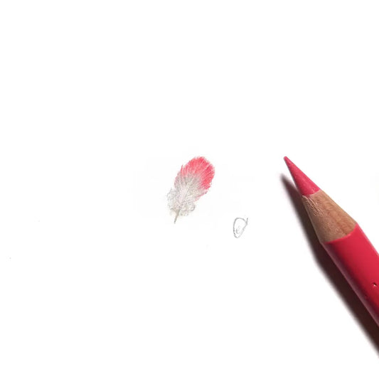 Galah feather miniature #2296