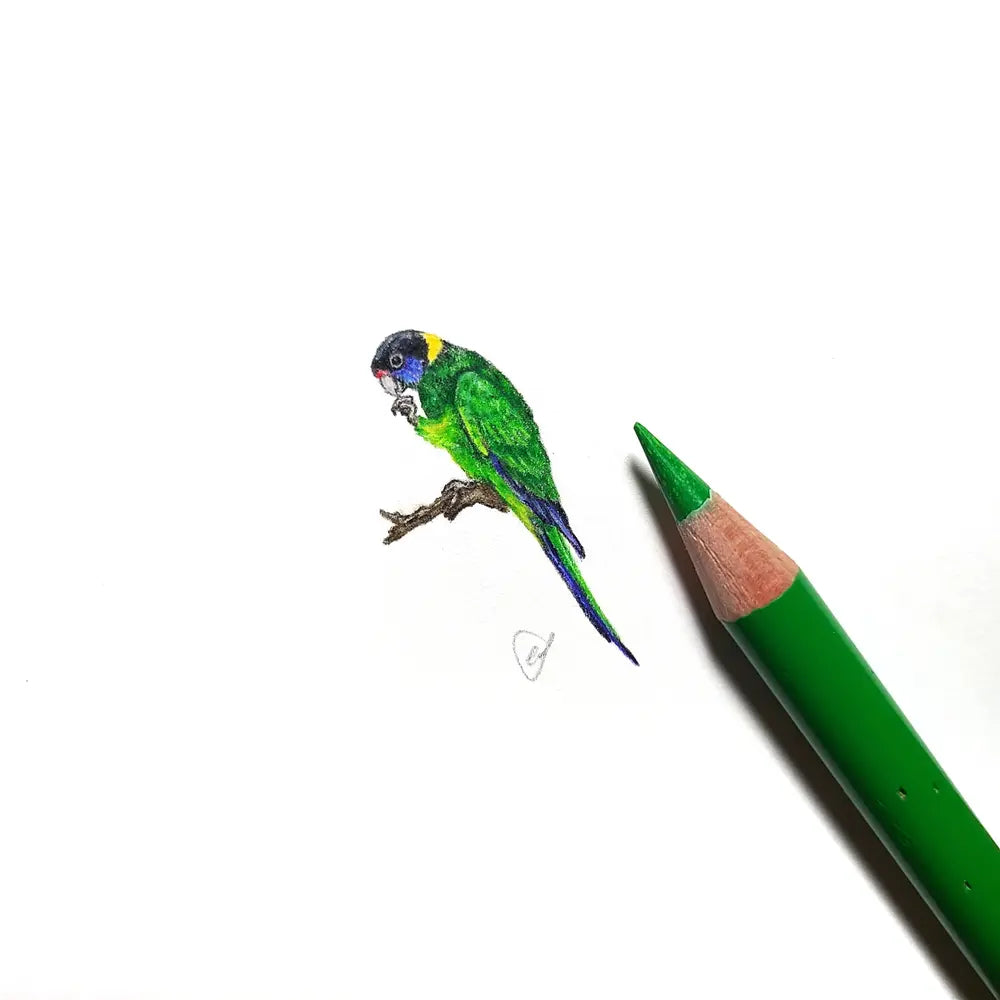 Australian Ringneck Parrot miniature #2298