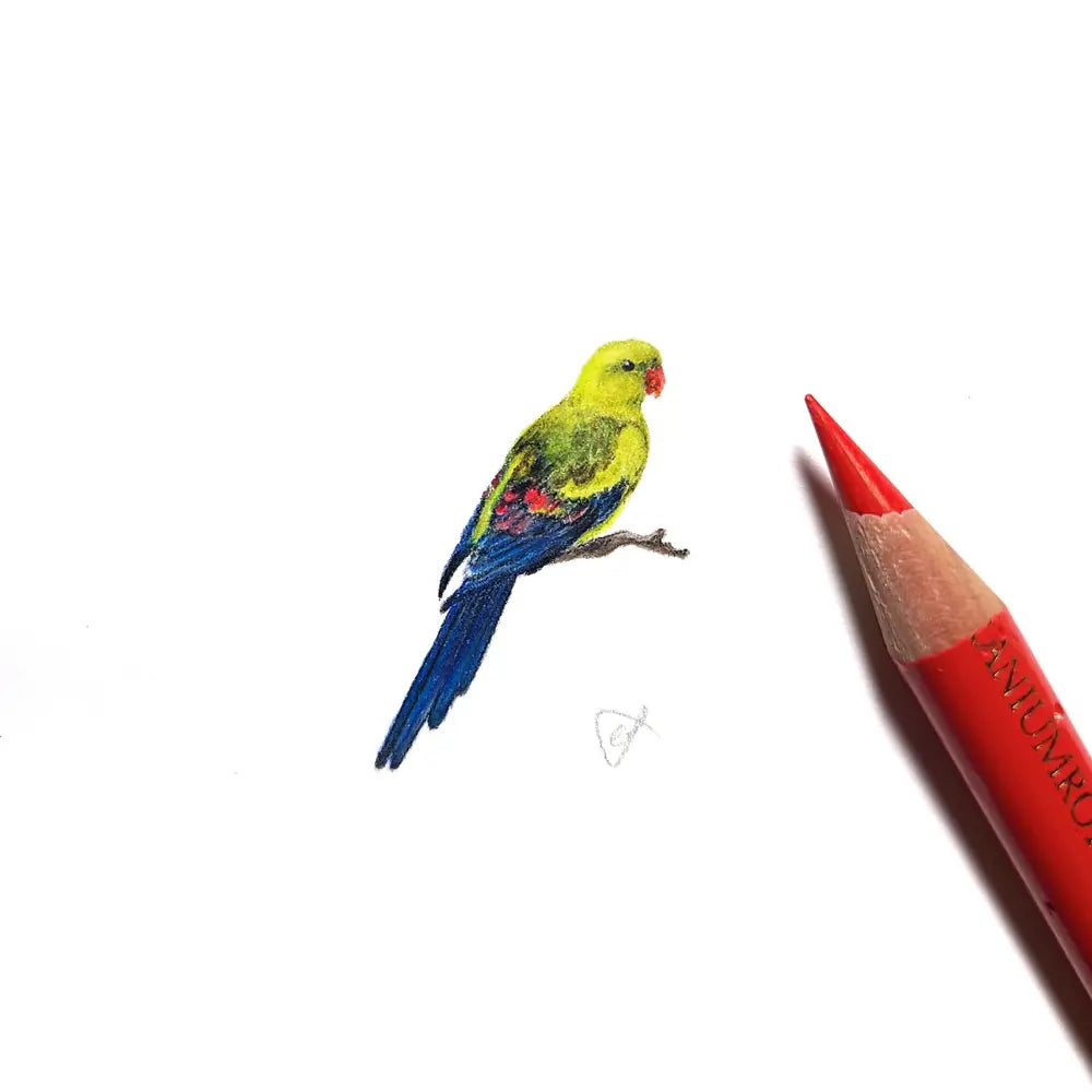 Regent parrot miniature #2303