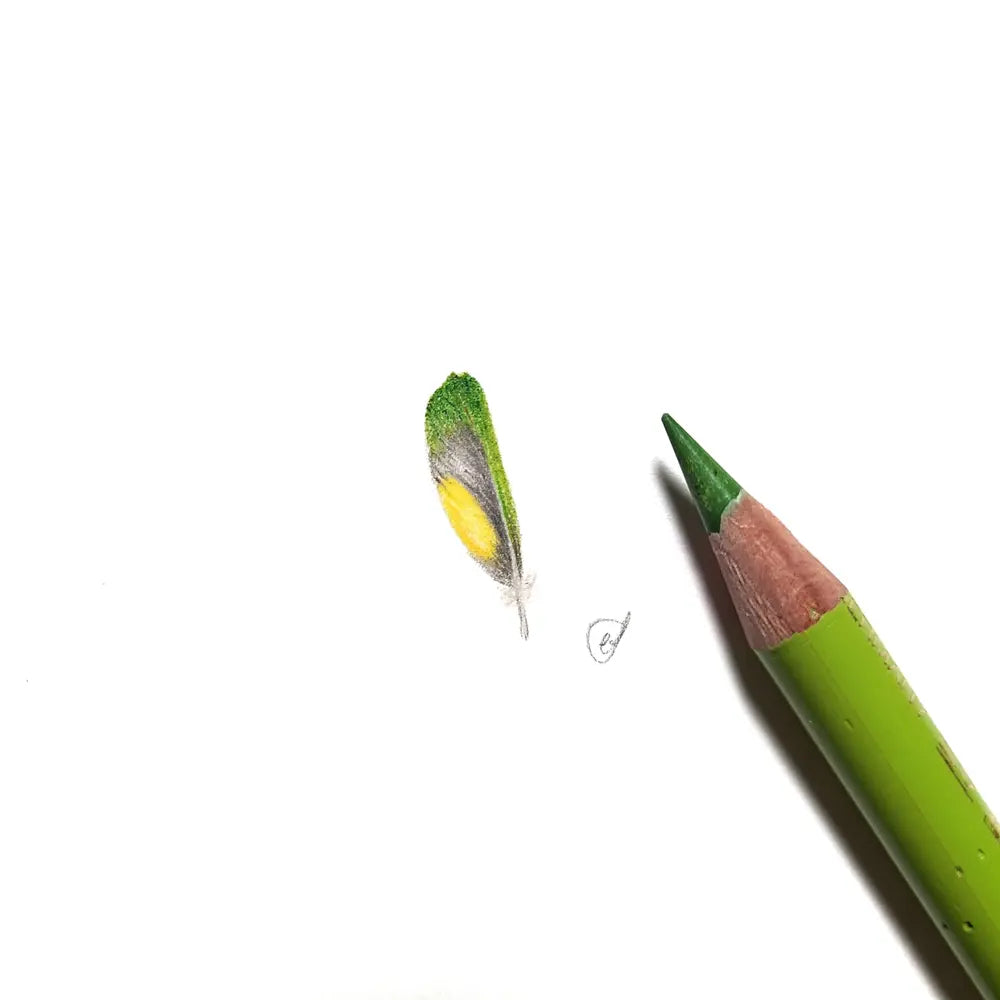 Rainbow lorikeet feather miniature #2306
