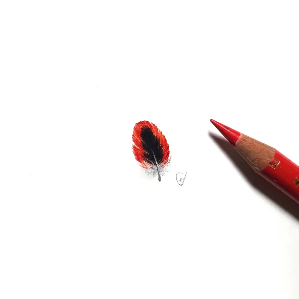 Crimson rosella feather miniature #2315