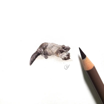 River otter miniature #2343