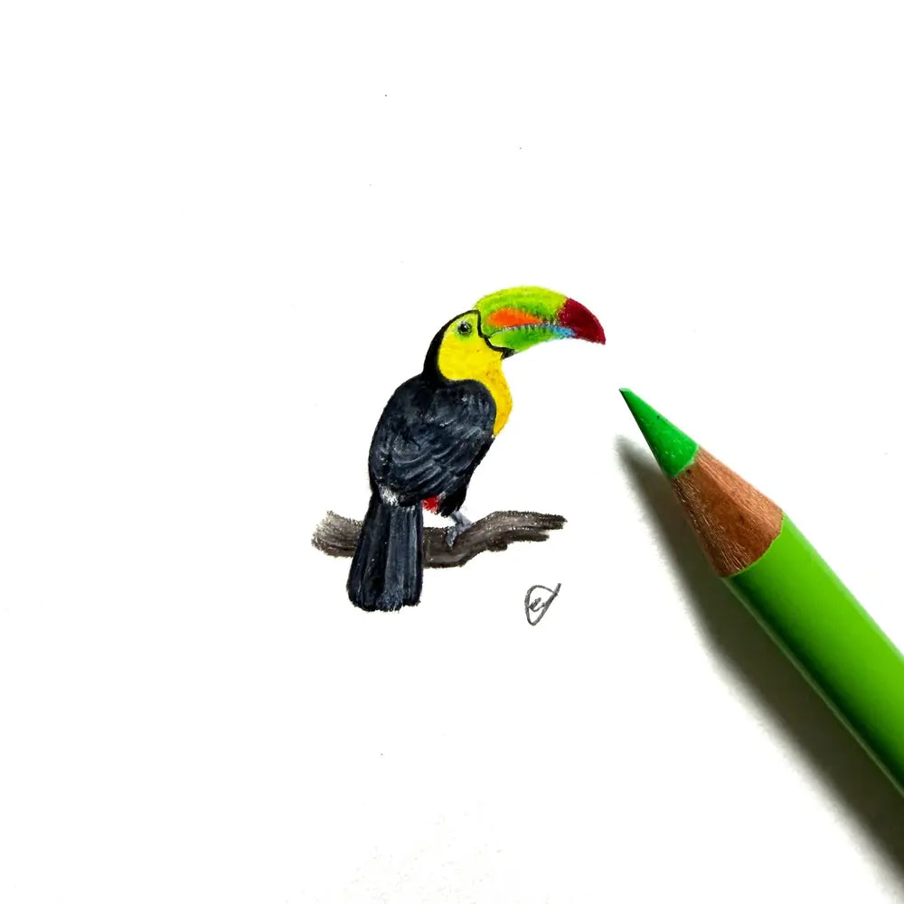 Toucan miniature #2352