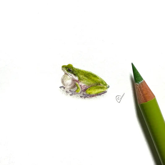 Tree frog miniature #2364