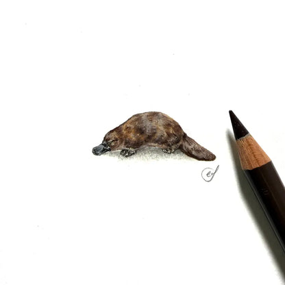 Platypus miniature #2369