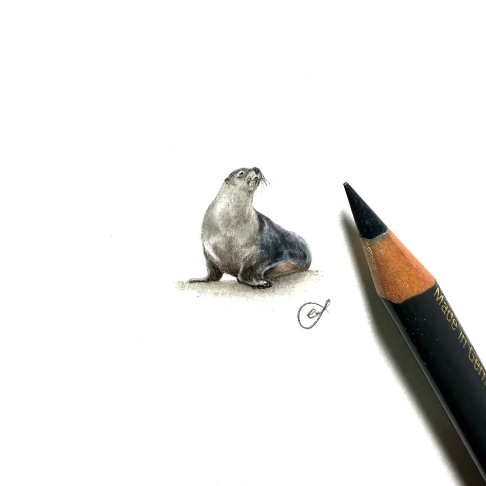 Sealion miniature #2374