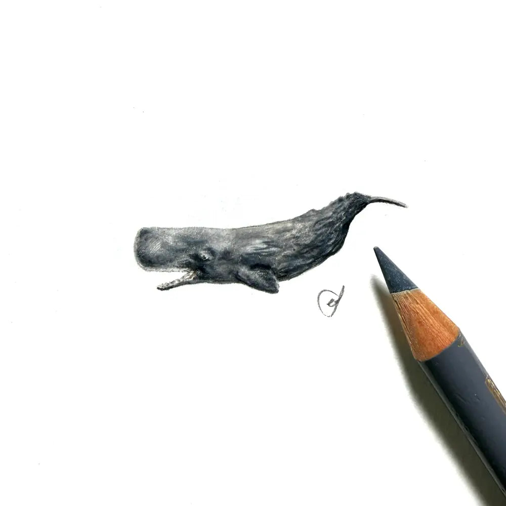 Sperm whale miniature #2376