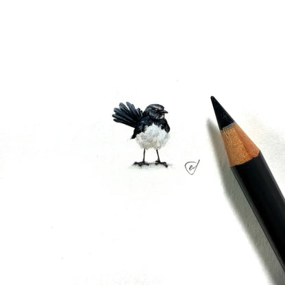 Willie wagtail miniature #2388