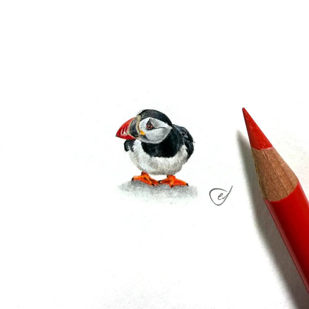 Atlantic puffin miniature #2390
