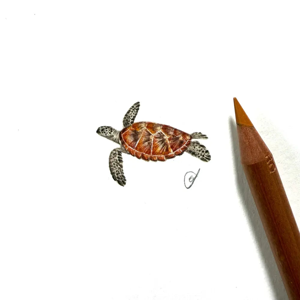 Green sea turtle miniature #2392