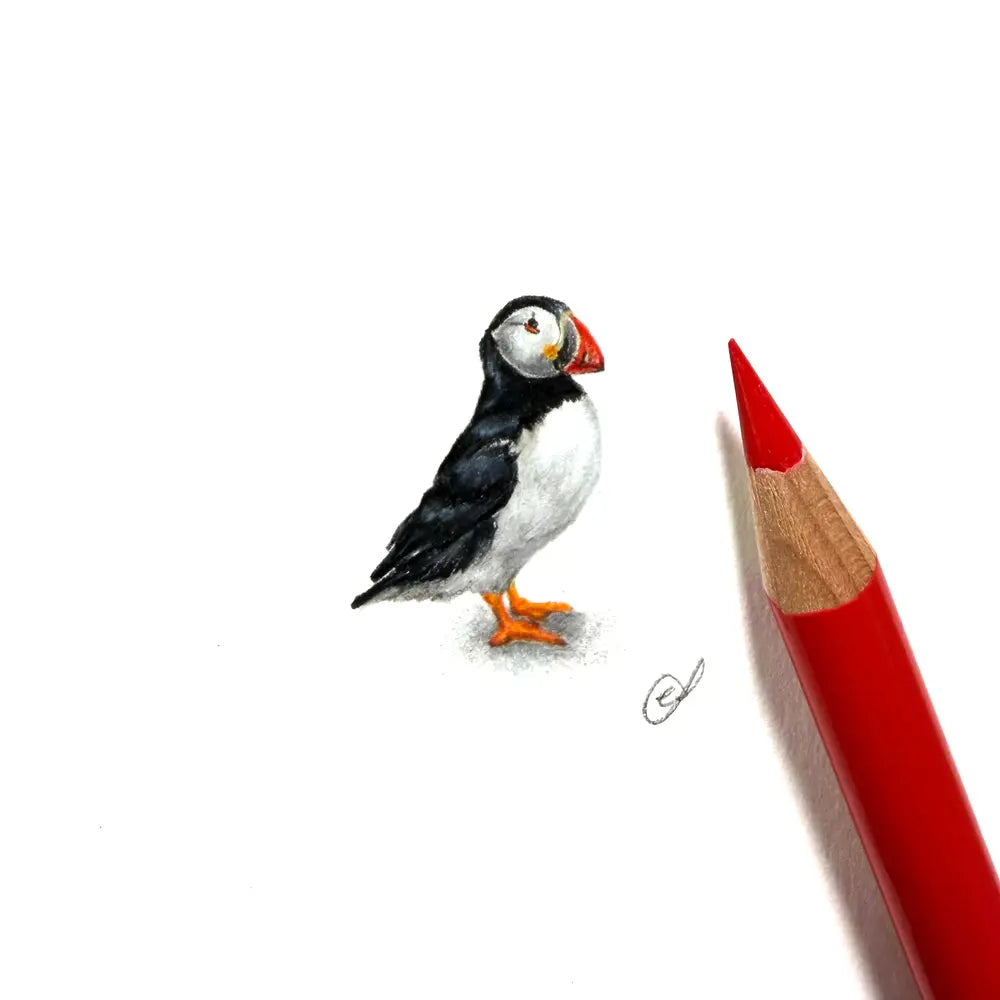 Atlantic puffin miniature #2393