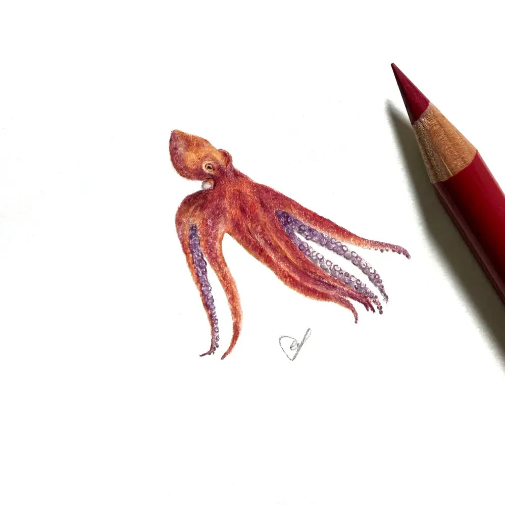 Octopus miniature #2395