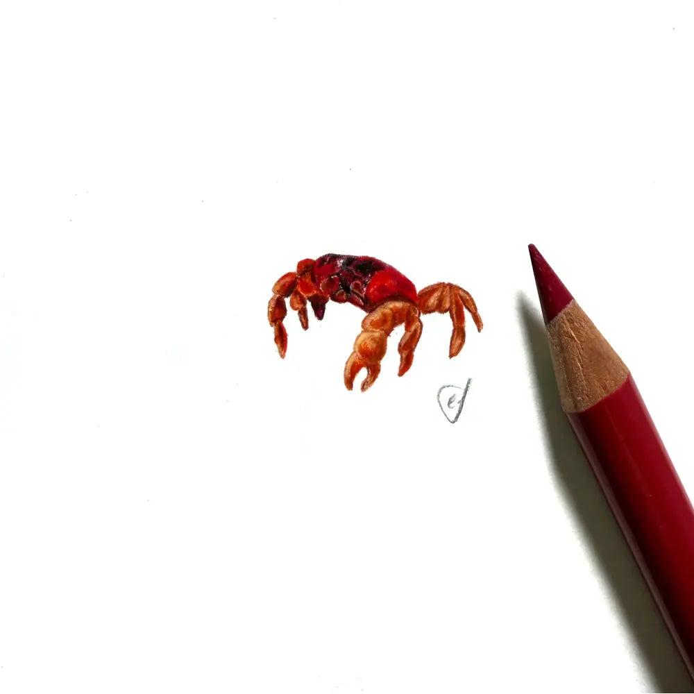Crab miniature #2396