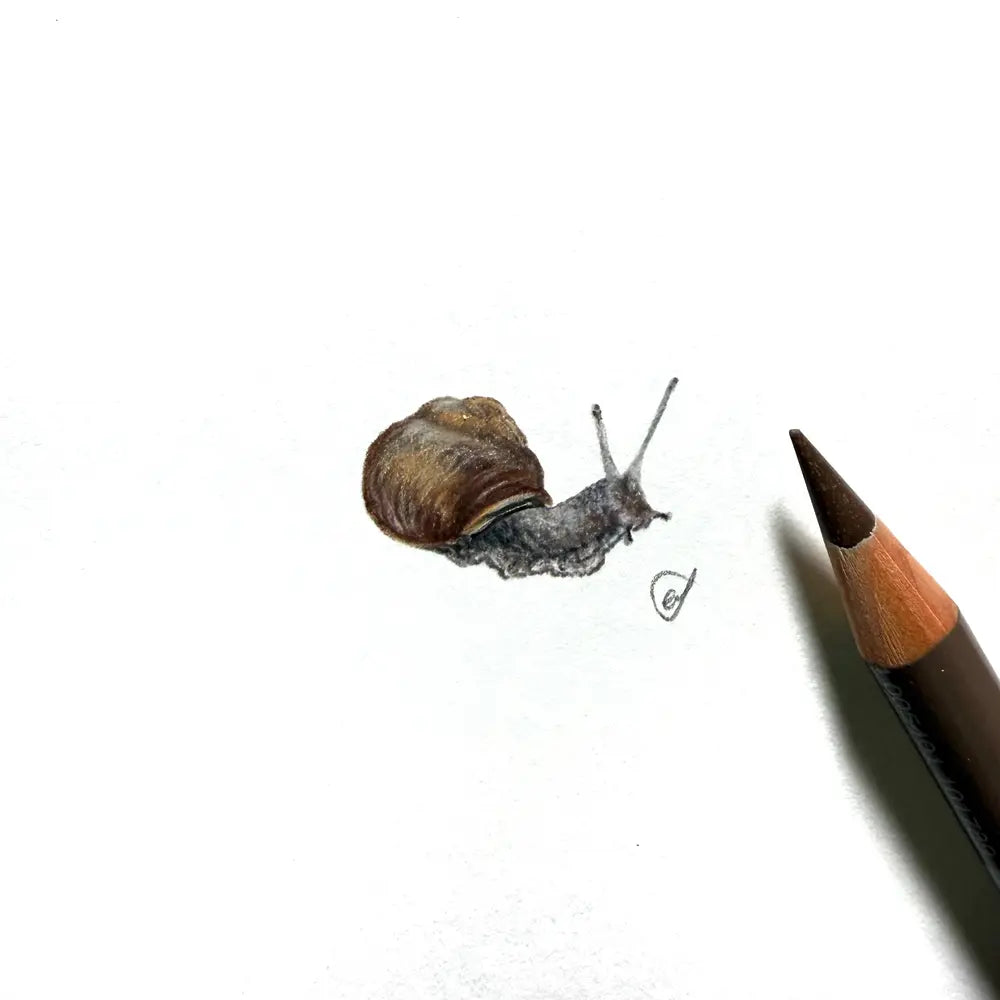 Snail miniature #2412