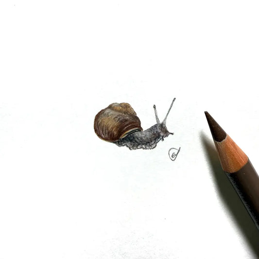 Snail miniature #2412