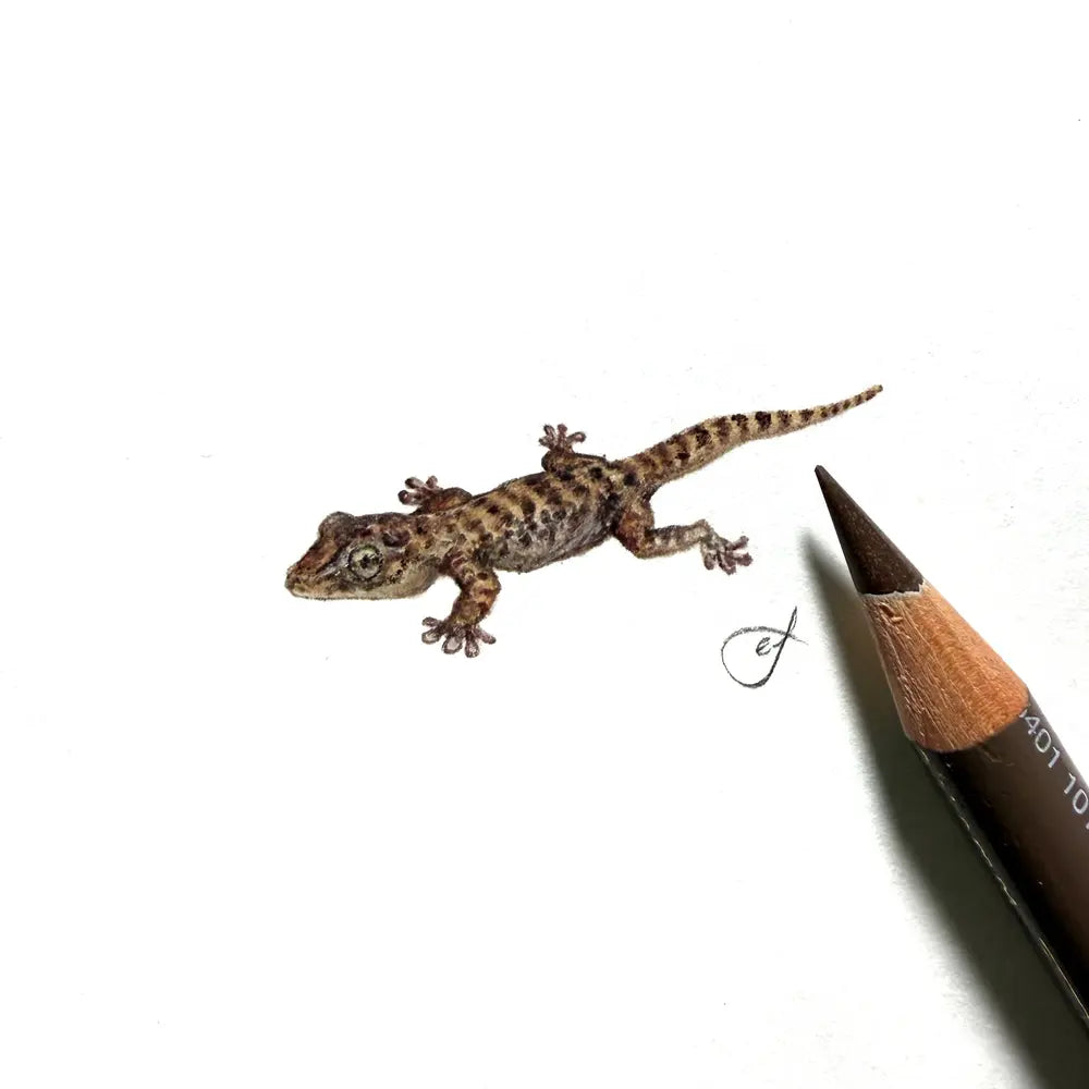 Gecko miniature #2417