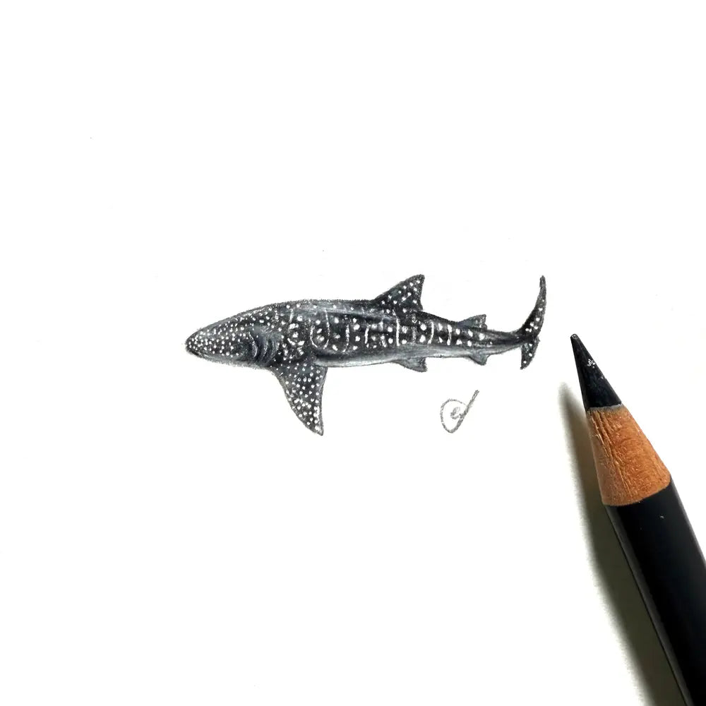 Whale shark miniature #2420