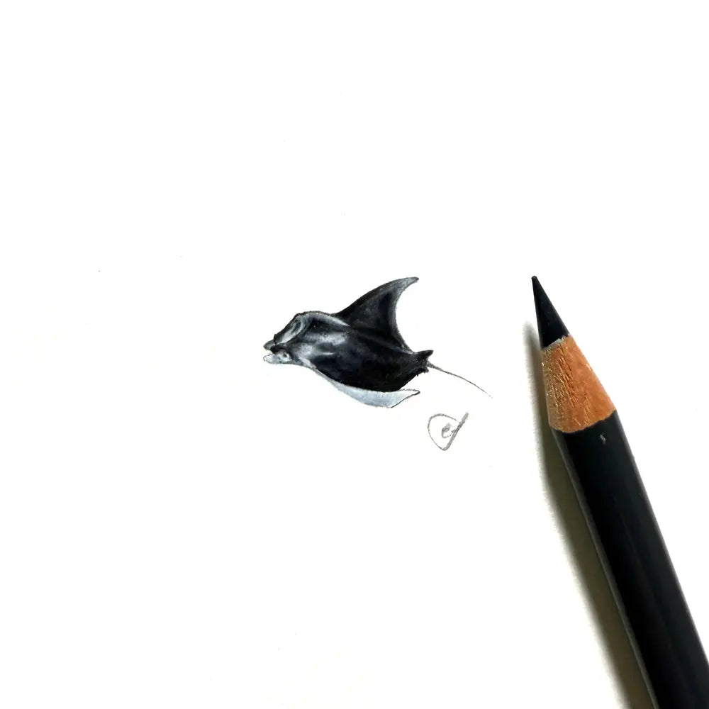 Manta ray miniature #2425