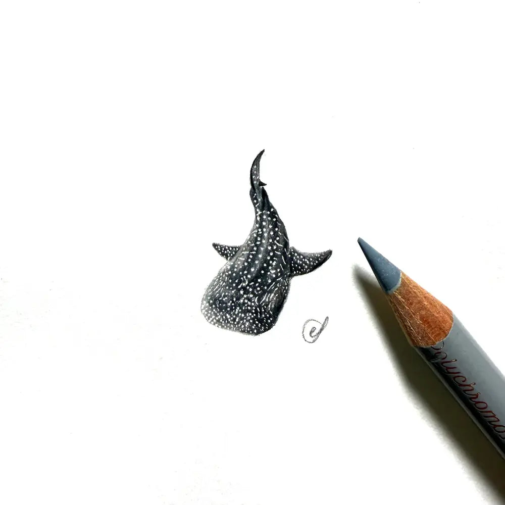 Whale shark miniature #2430