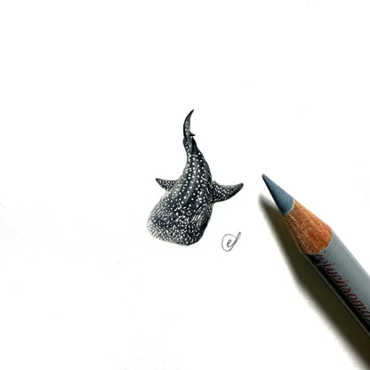 Whale shark miniature #2430