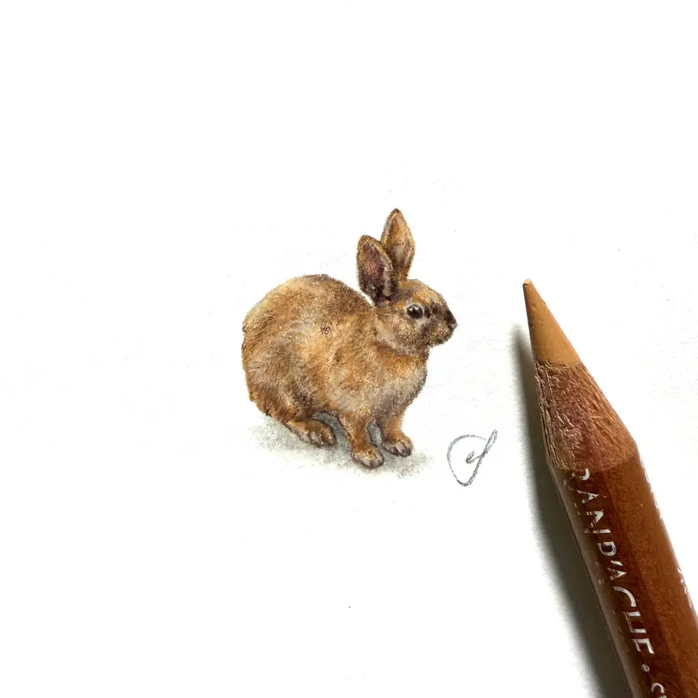 Pet rabbit miniature #2441