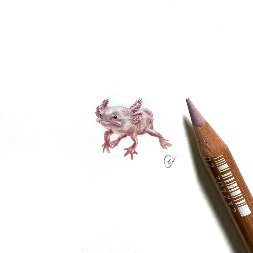 Axolotl miniature #2447