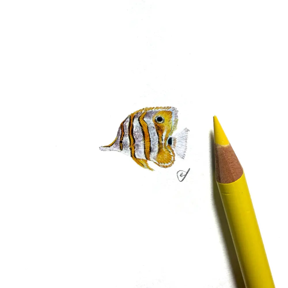 Butterflyfish miniature #2450