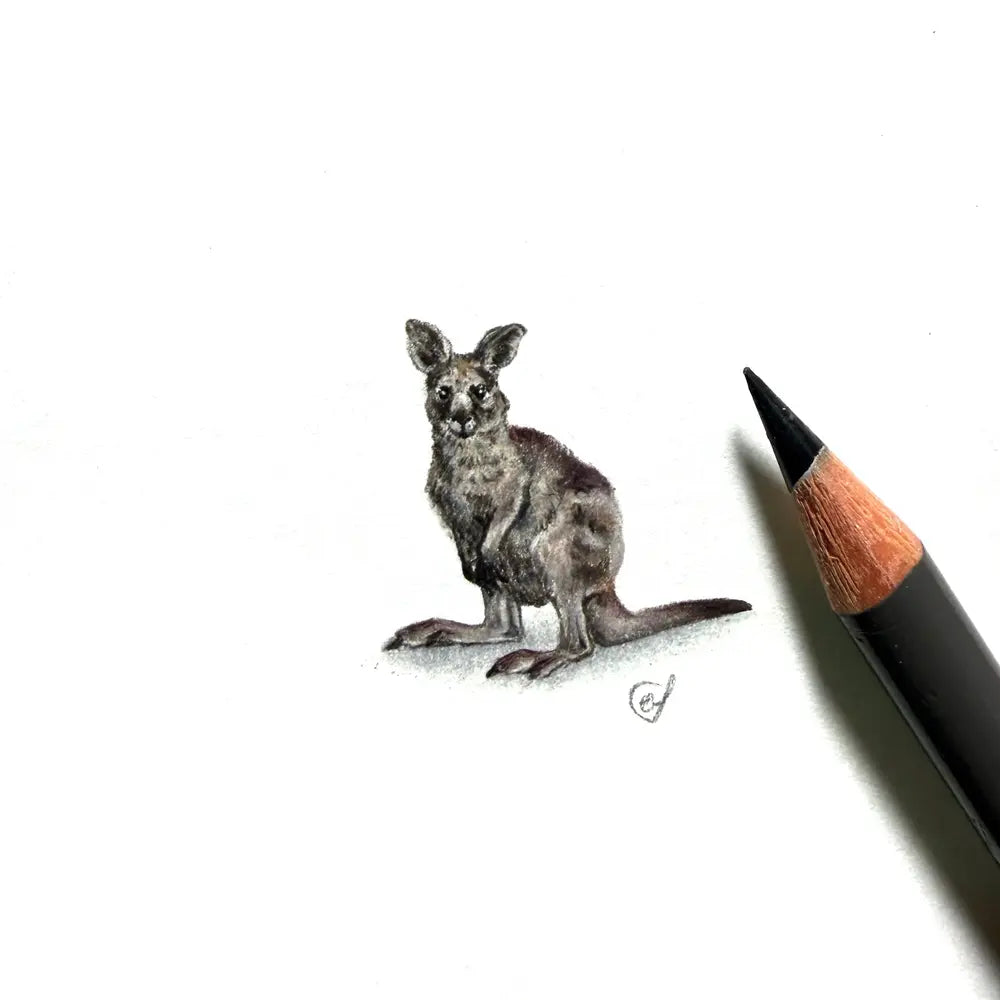 Grey joey miniature #2457