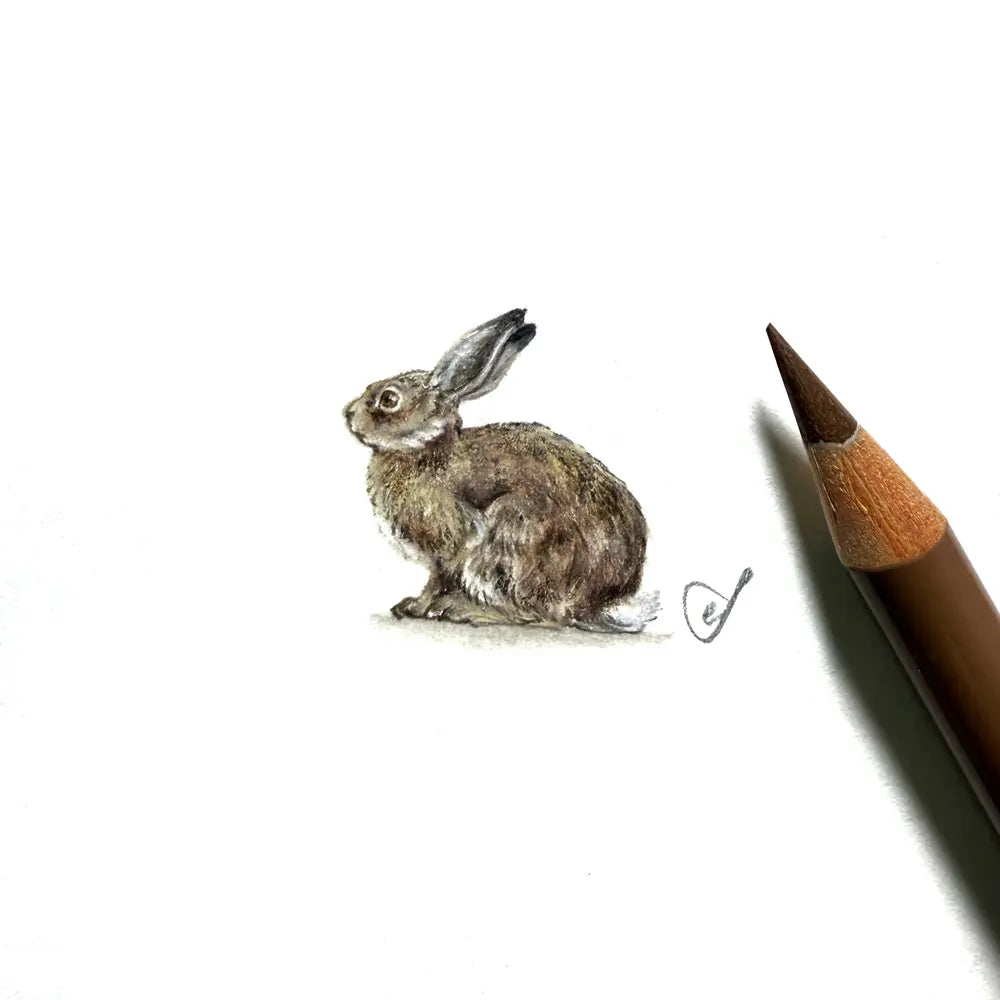 Hare miniature #2464