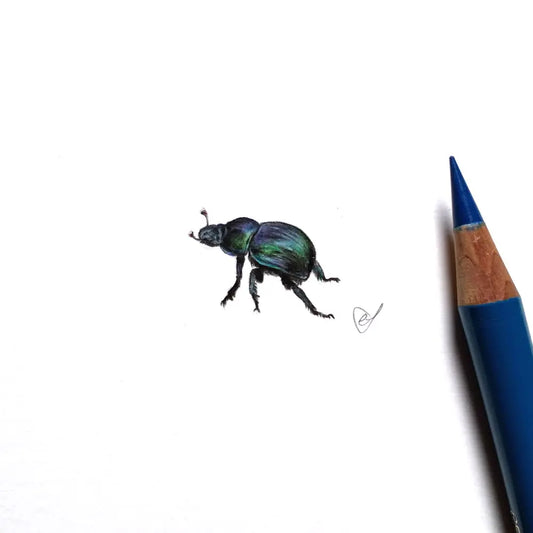 Dung beetle miniature #336